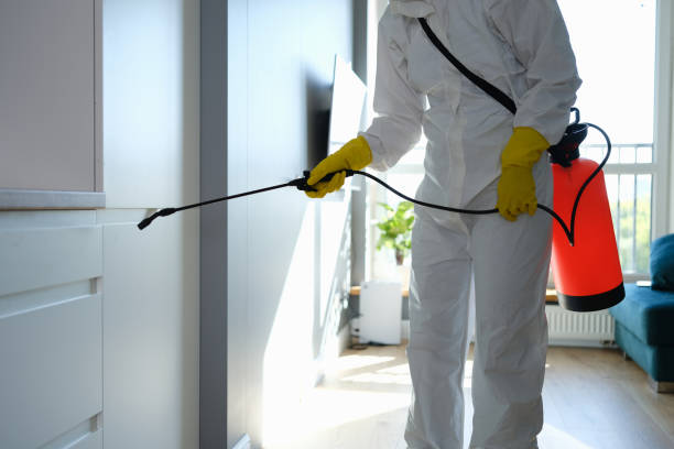 Trusted Homerville, GA Mold Remediation Experts